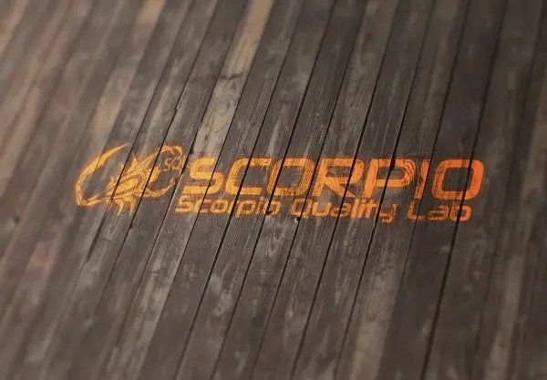 Scorpio Corporate Identity Design